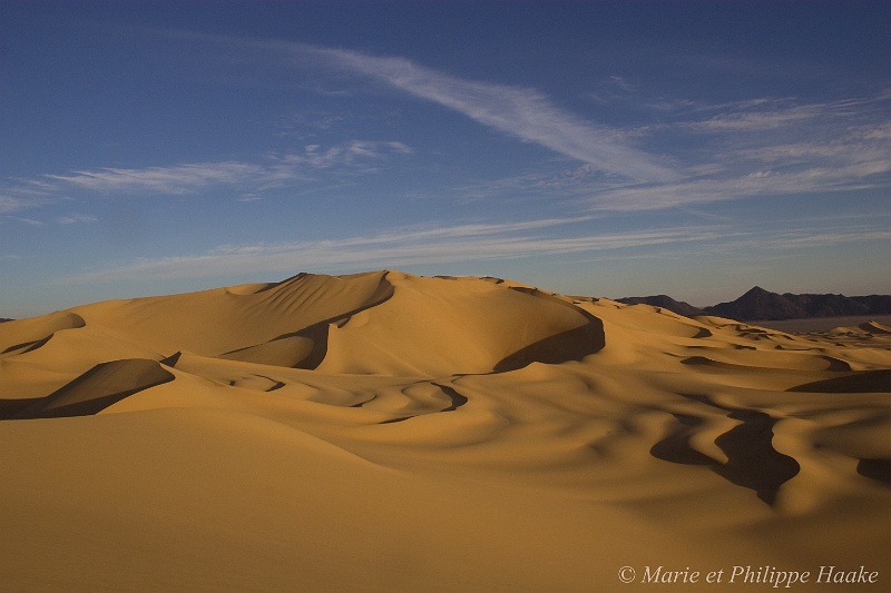 Dune Tenere 4349_wm.jpg - Dune, désert du Ténéré (Niger, 2006)
